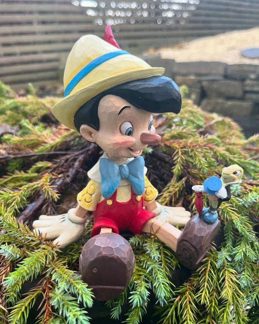 Pinocchio & Timmy - Bilde 2