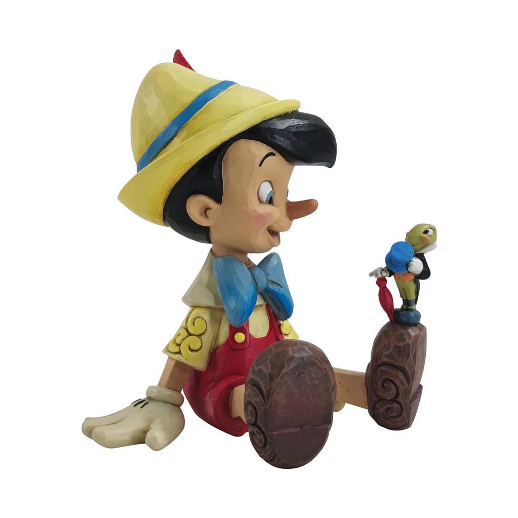 Pinocchio & Timmy