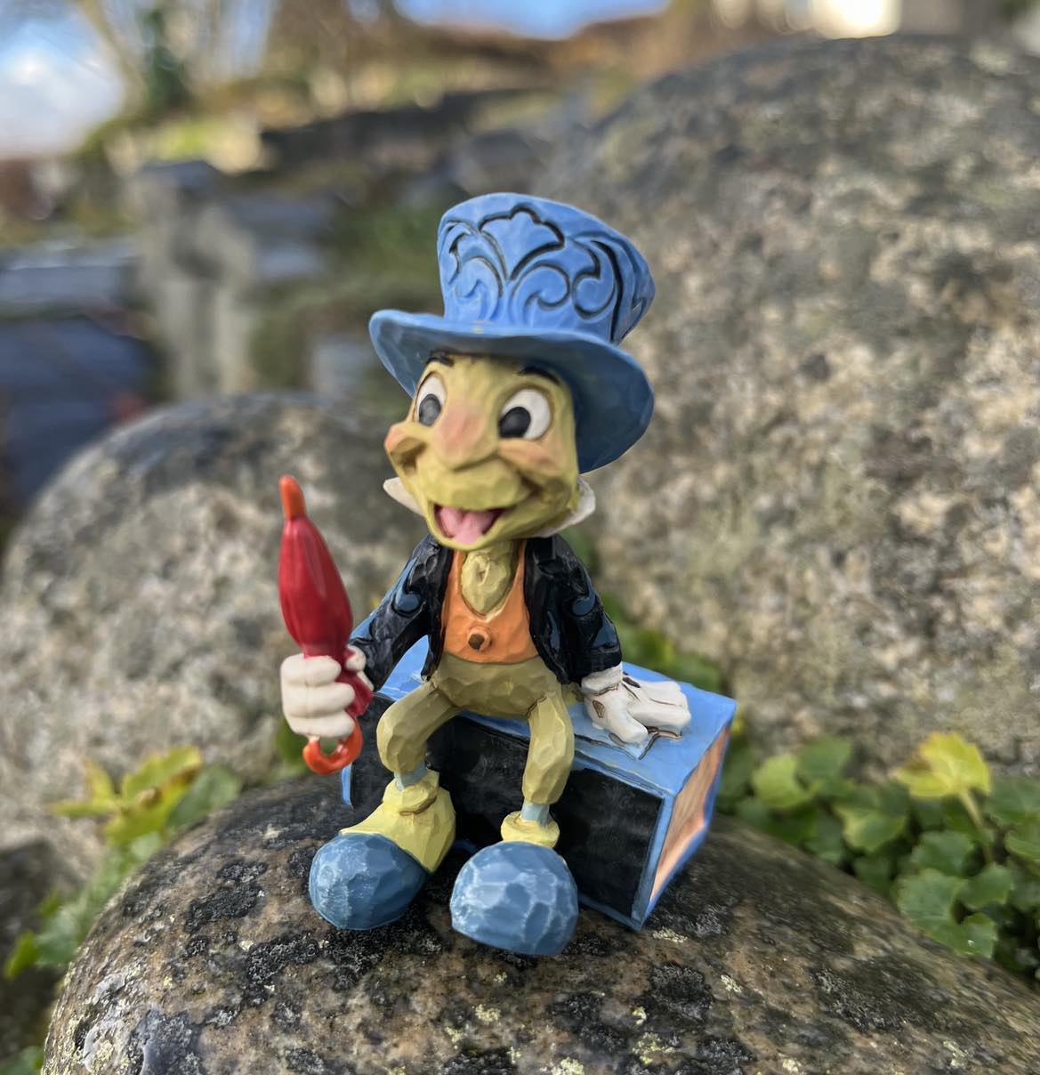 Timmy Gresshoppe - Bilde 2